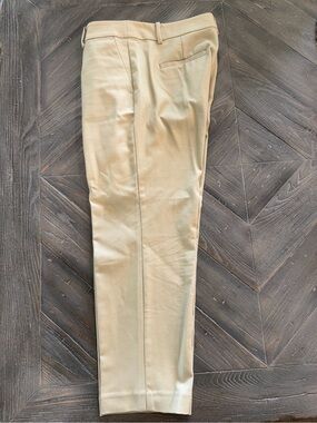 LOFT Beige Dress Pants - Flat Front 10P